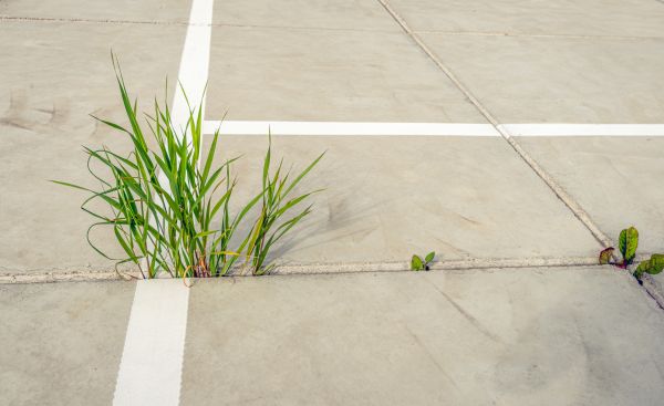 Concrete Parking Installation in Camas